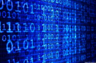 Что такое программирование и разработка ПО